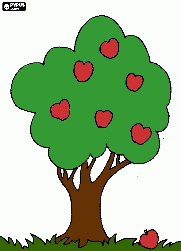 Árbol con frutos, árbol de copa redondeada para colorear