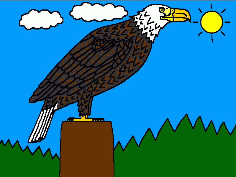 águila calva para colorear
