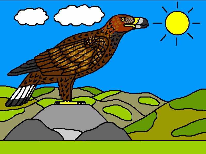 águila real, un dibujo coloreado para colorear