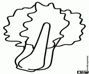 Colorear La acelga, una planta comestible