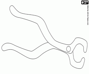 Colorear Los alicates del dentista