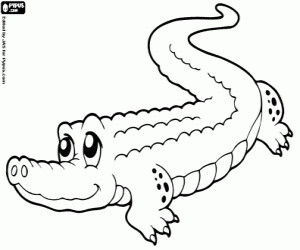 Colorear Alligator