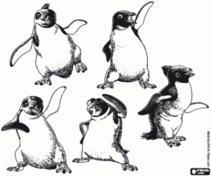 Colorear Amigos de Mumble, los pingüinos