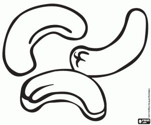 Colorear Los anacardos, las semillas