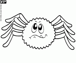 Colorear Araña del desierto