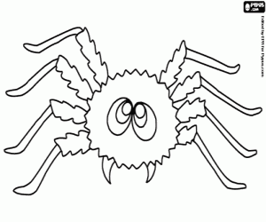 Colorear Araña