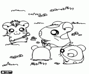 Colorear Aventuras de Hamtaro y Ham-Ham