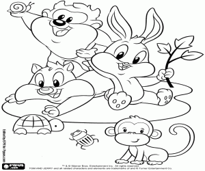 Colorear Baby Looney Tunes con animalitos