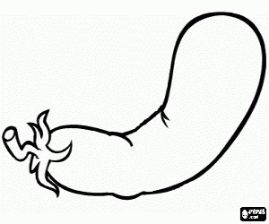 Colorear Berenjena, un fruto comestible