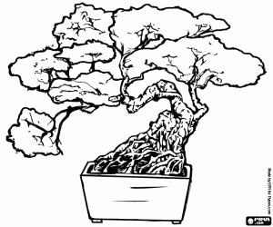 Colorear El bonsai, arte japonés
