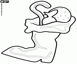 Colorear Bota de Papá Noel con regalos