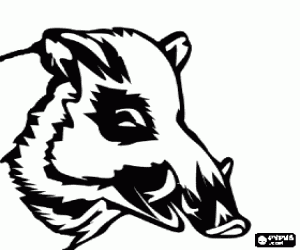 Colorear Cabeza de jabalí con colmillos