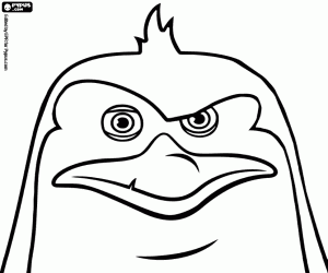 Colorear Cara de Rico,pingüino con cresta