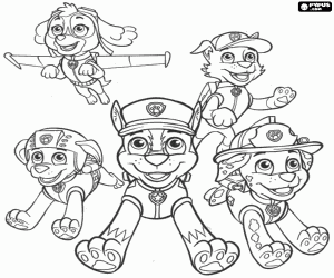 Colorear Cinco de los perros Paw Patrol