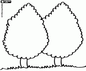 Colorear Dos cipreses, Cupressus