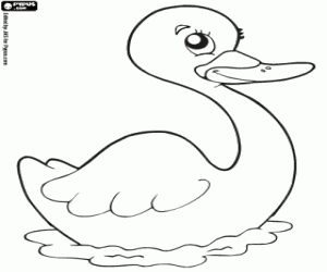 Colorear El cisne