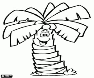 Colorear Un cocotero, palmera con cocos