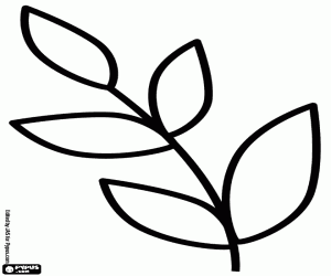 Colorear Dibujo simple de rama de laurel