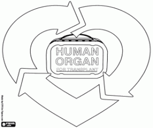 Colorear Donación y trasplante de órganos