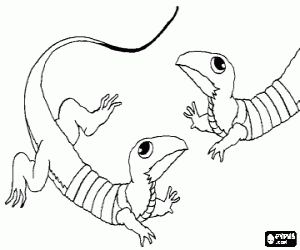 Colorear Dos lagartijas cara a cara