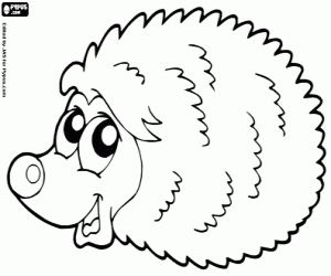 Colorear Erizo