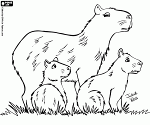 Colorear Familia de carpinchos o capibaras
