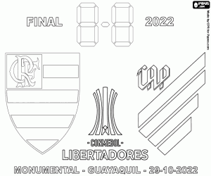 Colorear Final Copa Libertadores 2022