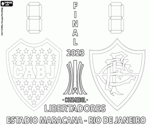 Colorear Final de Copa Libertadores 2023