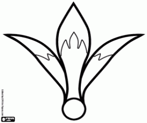 Colorear Una flor Amaryllus