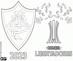 Colorear Fluminense, Libertadores 2023