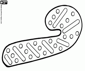 Colorear Galleta como bastón de caramelo