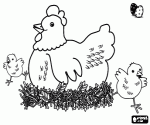 Colorear Gallina y dos pollitos de Pascua