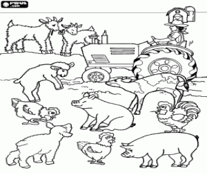 Colorear Granjero con tractor y animales