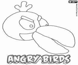 Colorear Green Bird,pájaro de Angry Birds