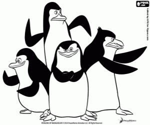 Colorear Grupo de pingüinos en acción