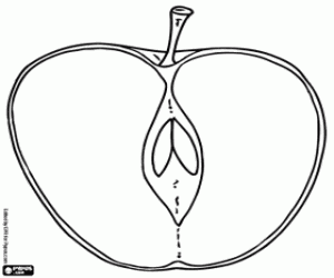 Colorear El interior de una manzana