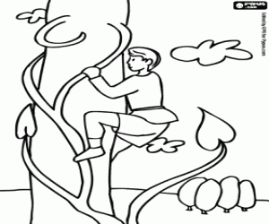 Colorear Jack y las habichuelas mágicas