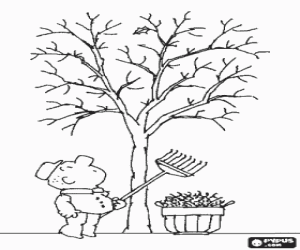 Colorear Un jardinero con mucha paciencia