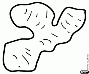 Colorear El jengibre, un rizoma