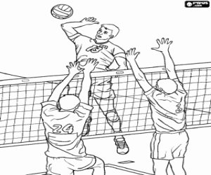 Colorear Jugada en la red de voleybol