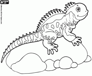 Colorear Lagarto