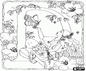 Colorear Letra D en el jardín de la hada