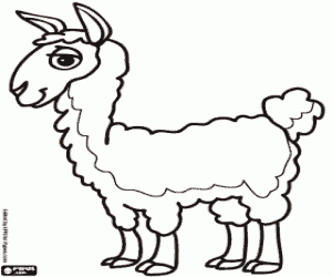 Colorear La llama, el animal de los incas