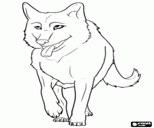 Colorear Un lobo, un animal salvaje