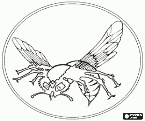 Colorear Logo de El Avispón Verde