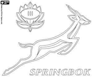 Colorear Logo de los Springboks