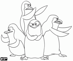 Colorear Los  pingüinos de Madagascar