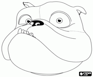 Colorear Luiz, un perro bulldog