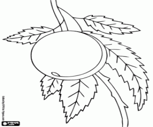 Colorear Un melocotón en el árbol