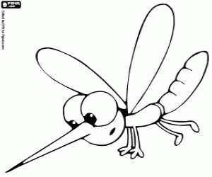Colorear Mosquito